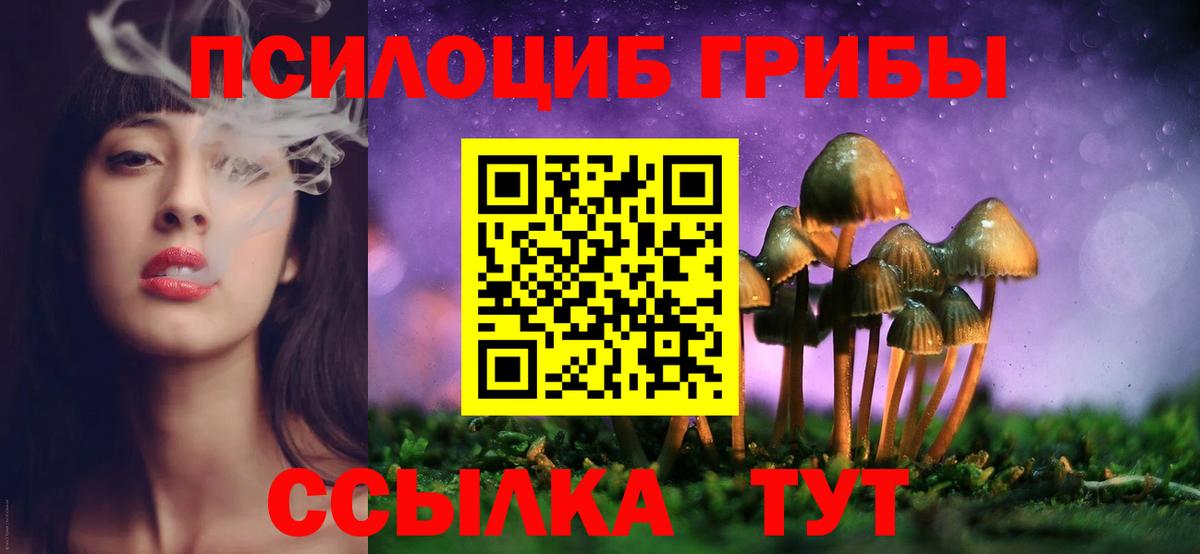 Каспийск  Галлюциногенные грибы мицелий  Вход с VPN 